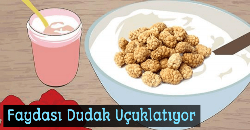 Yoğurt ve Kuru Dutu Karıştırın Faydası Dudak Uçuklatıyor