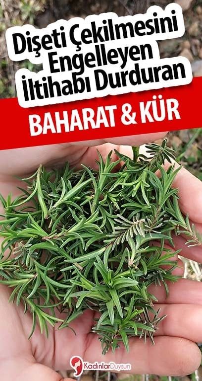 Dişeti Çekilmesini Ve İltihabı Engelleyen Doğal Tedavi