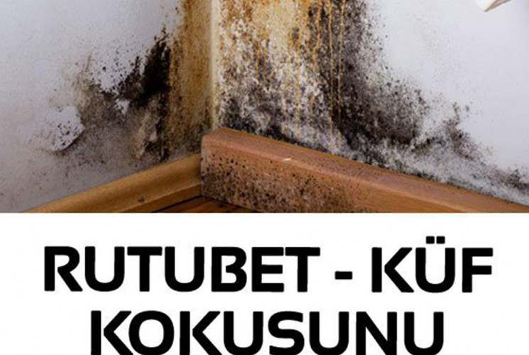 Rutubet-Küf Kokusunu Anında Yok Eden Etkili Yöntem