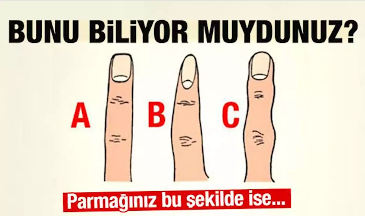 Sizin Parmağınız Bunlardan Hangisi