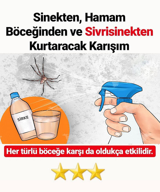 Kara Sinek Hamam Böceği ve Sivrisinekten Kurtaracak Karışım