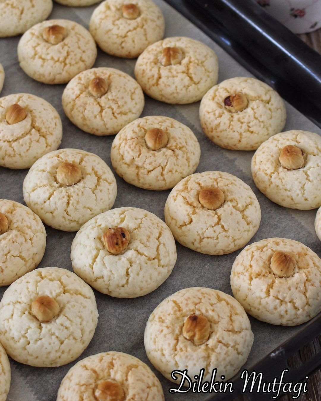 Kaynana Boğan Kurabiye