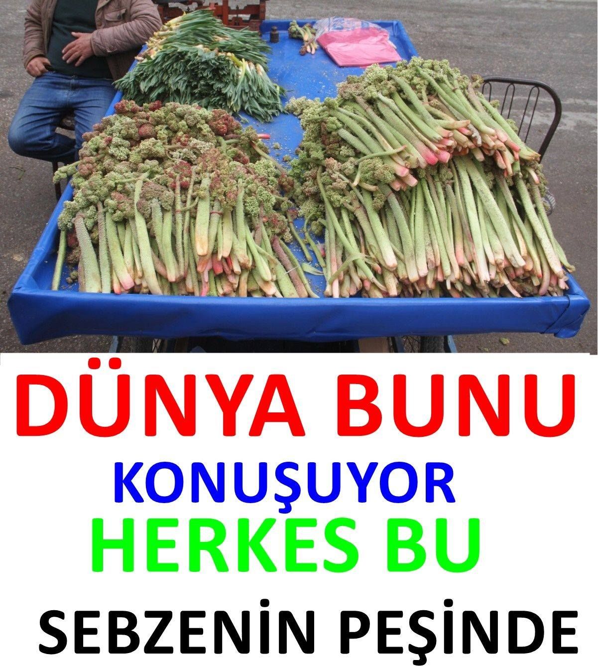 Herkes Bu Sebzenin Peşinde...