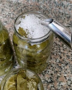 Kaynar Suyla Asma Yaprak 