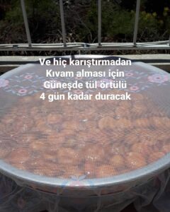 Bütün Kayısı Reçeli