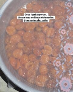 Bütün Kayısı Reçeli