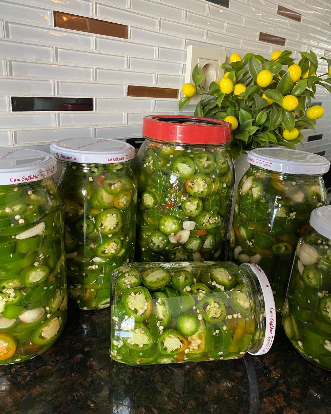 Jalapeno Biber Turşu