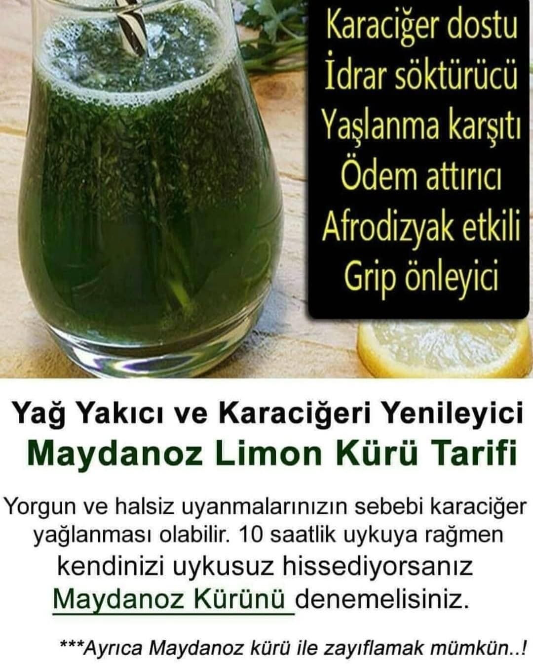 Kanı Temizleyip Kansızlığı Gideriyor