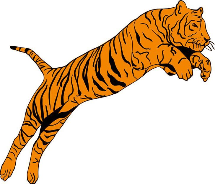 Baktığında İlk Gördüğün Hayvan Kişiliğin Hakkında Bilgiler Veriyor