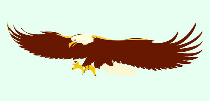 Baktığında İlk Gördüğün Hayvan Kişiliğin Hakkında Bilgiler Veriyor