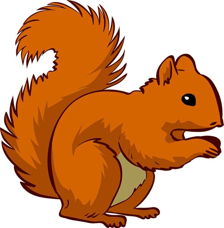 Baktığında İlk Gördüğün Hayvan Kişiliğin Hakkında Bilgiler Veriyor