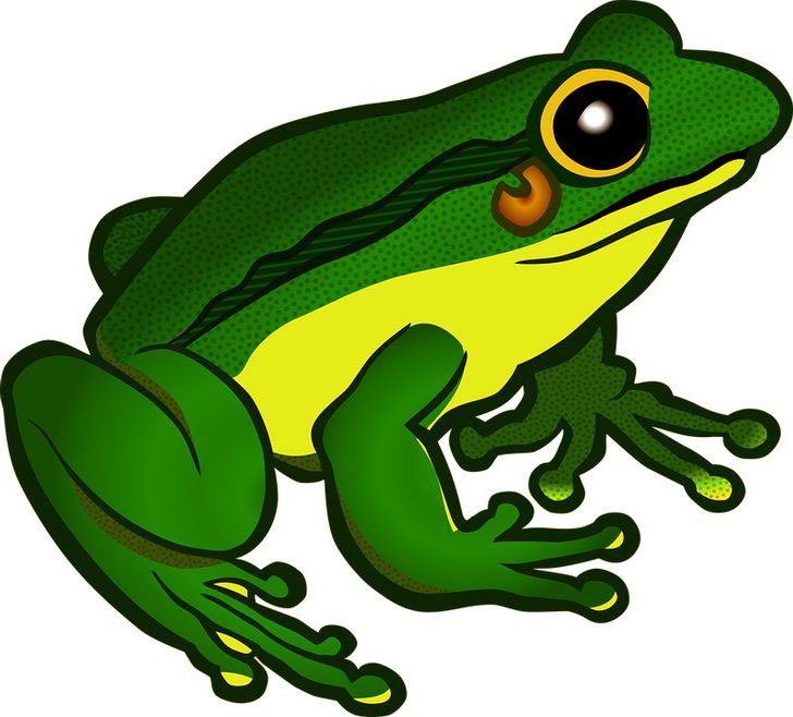 Baktığında İlk Gördüğün Hayvan Kişiliğin Hakkında Bilgiler Veriyor