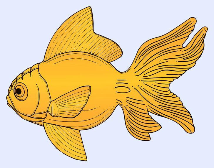 Baktığında İlk Gördüğün Hayvan Kişiliğin Hakkında Bilgiler Veriyor