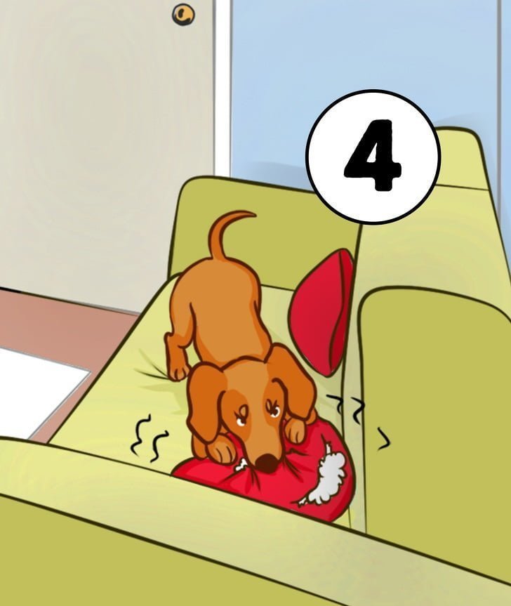 Siz Olsaydınız İlk Ne Yapardınız?