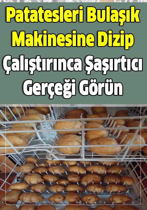 Patatesleri Alıp Bulaşık Makinesine Atıp Çalıştırın Bakın Neler Oluyor...