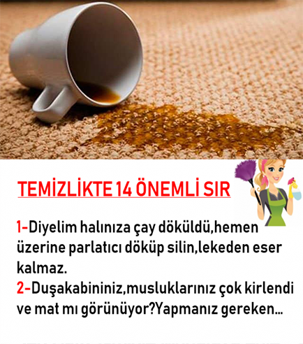 Temizlikteki Bu 14 Önemli Bilgi Çok İşinize Yarayacak