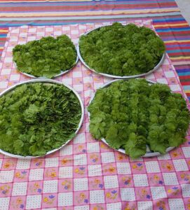 Kışlık Yaprak Basma