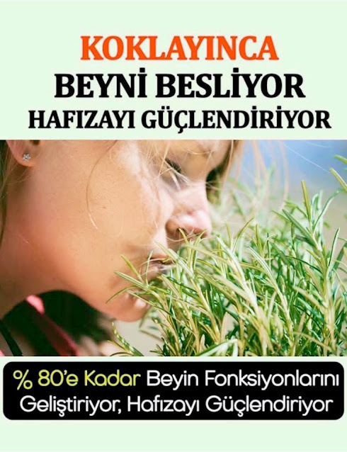 Sadece Koklamak Yetiyor