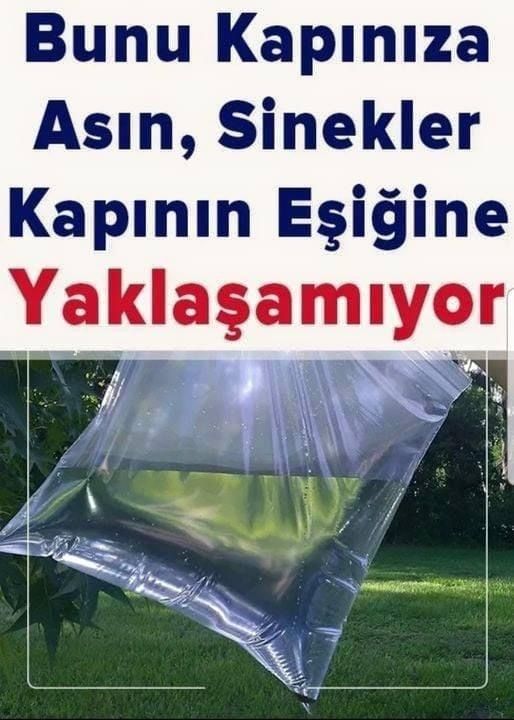 Bunu Kapınıza Asınca Sinekler Yaklaşmıyor