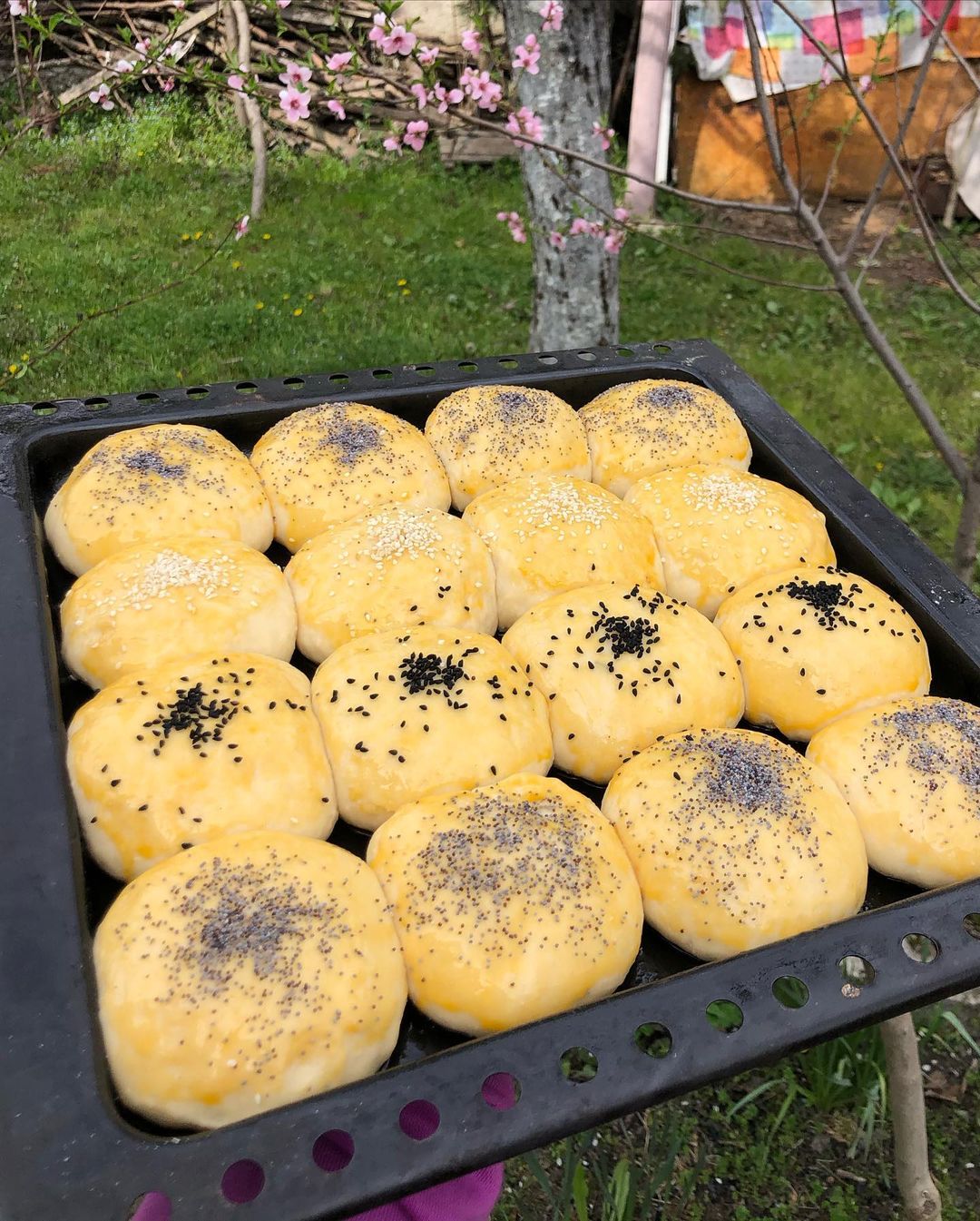 Bildiğiniz Tüm Tarifleri Unutun İşte Budur Diyebileceğiniz Muhteşem Pamuk Poğaça