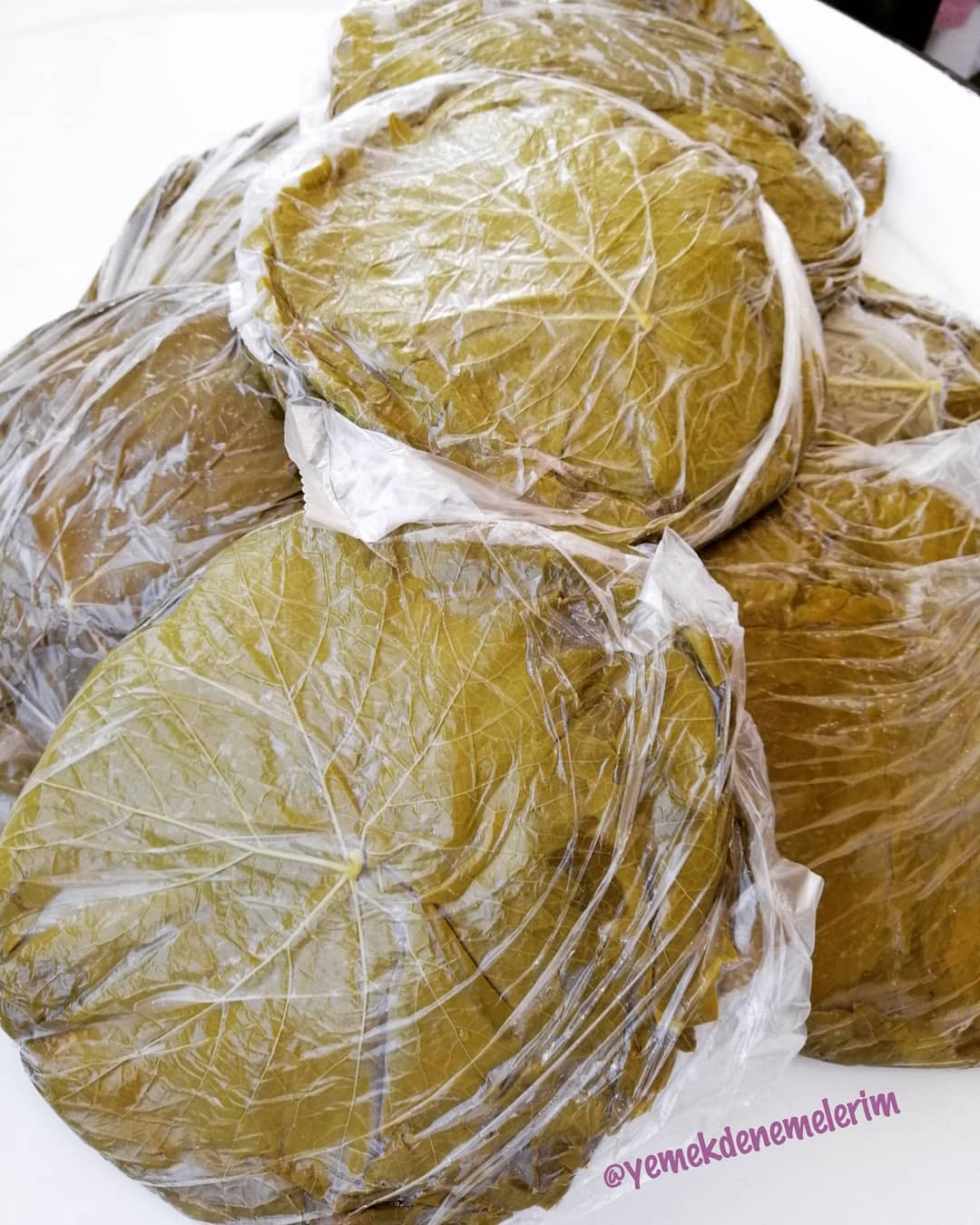 Buzlukta Üzüm Yaprağı