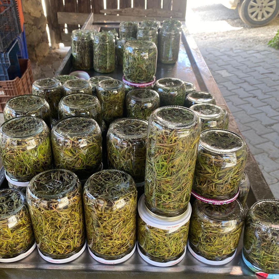 Zahter-Kekik Salamura Tarifi