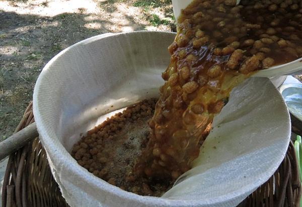 Aşama Aşama Dut Pekmezi Yapımı