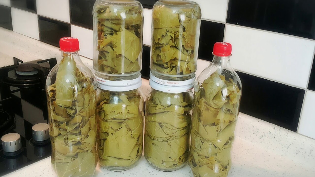 Kavanozda Şişede Susuz Ve Tuzsuz Yaprak Basma