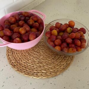 Erik Reçeli