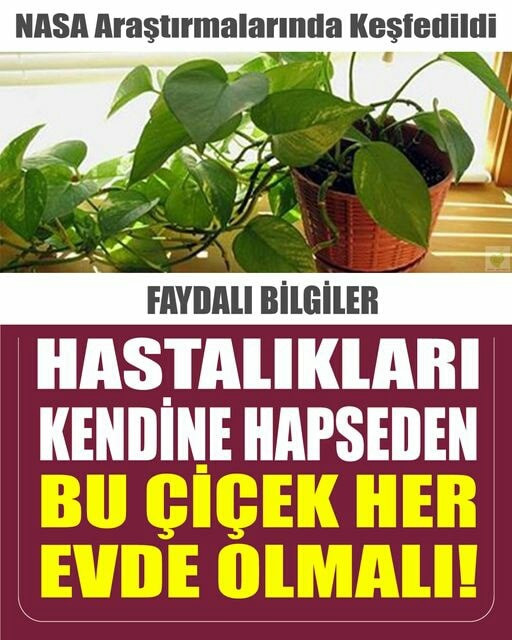 Evinizden Eksik Etmeyin