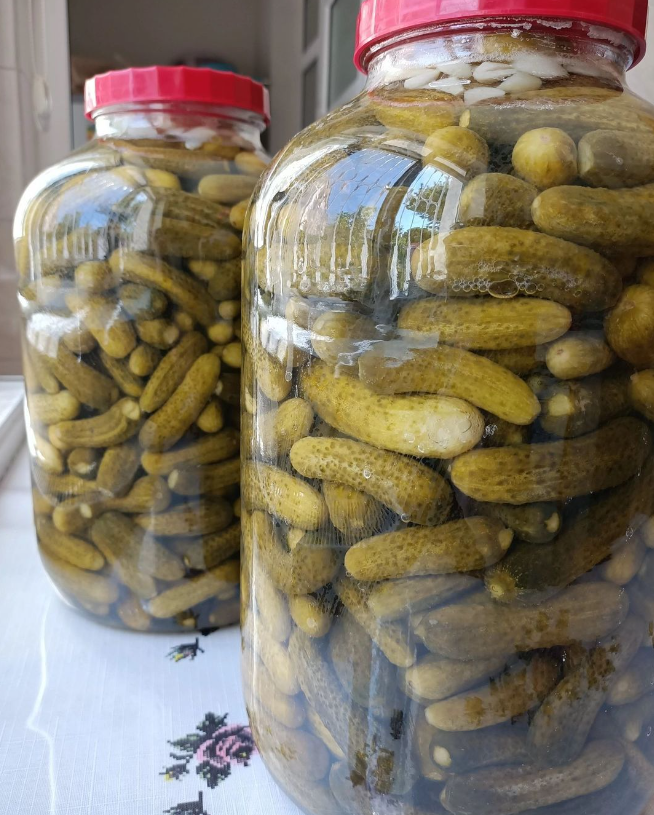 Çıtır Çıtır Kıtır Kıtır Turşu