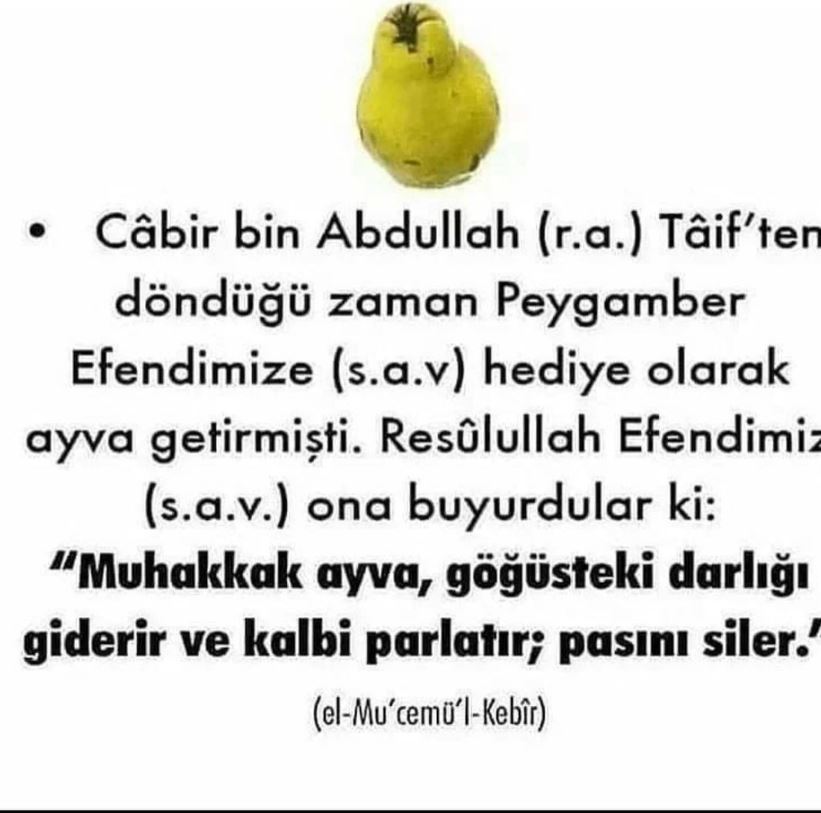 Ayva İle İlgili Hadis