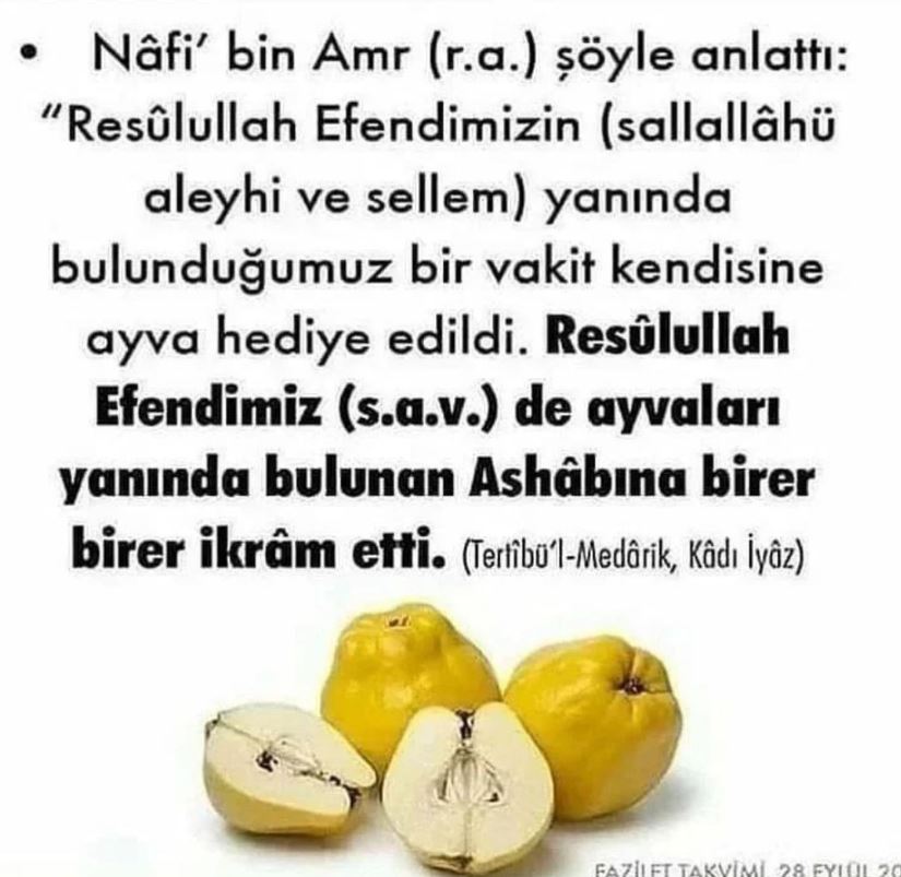 Ayva İle İlgili Hadis