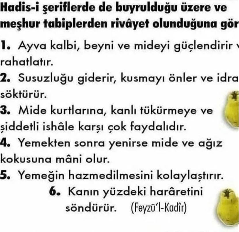 Ayva İle İlgili Hadis