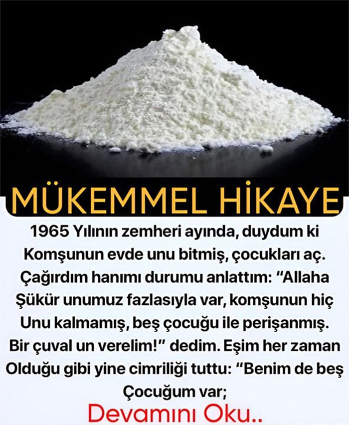 Zemheri Ayı