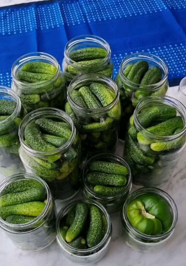 Çıtır Salatalık Turşusu Tarifi