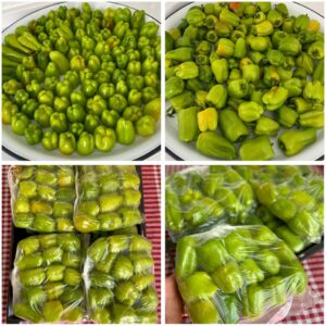 Kışlık Dolmalık Biber