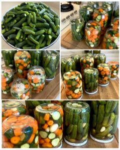 5 Güne Hazır Kütür Kütür Garantili Turşu 