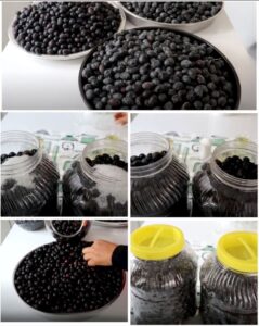 15 Günde Siyah Zeytin Tadlandırma