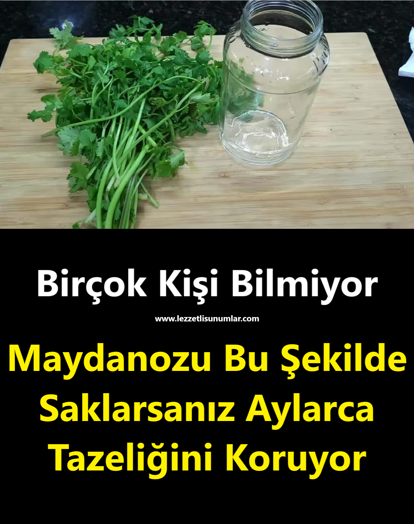 Maydanozu Bu Şekilde Saklarsanız Aylarca Tazeliğini Koruyor