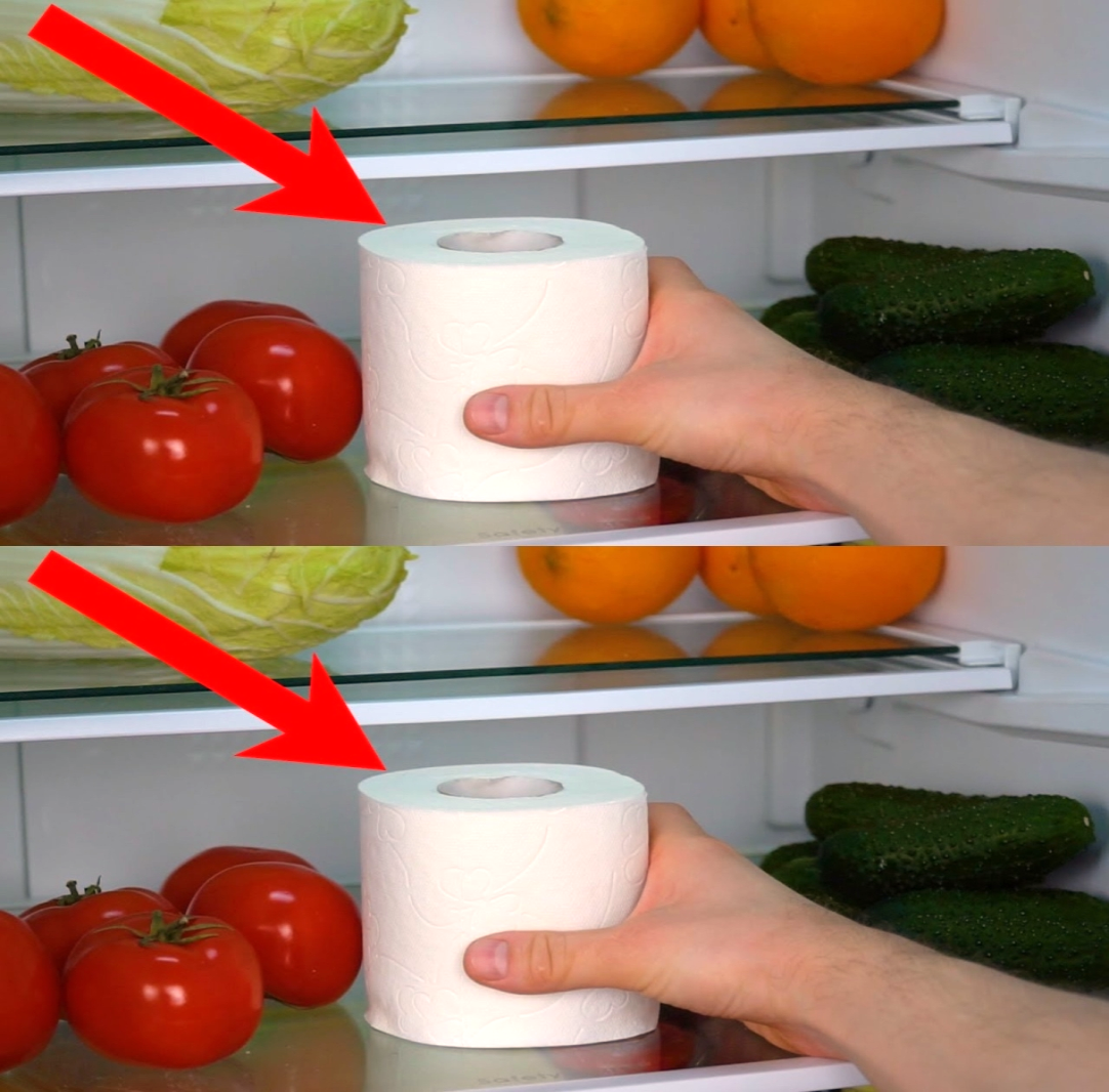 Buzdolabına Bir Rulo Peçete Koyun