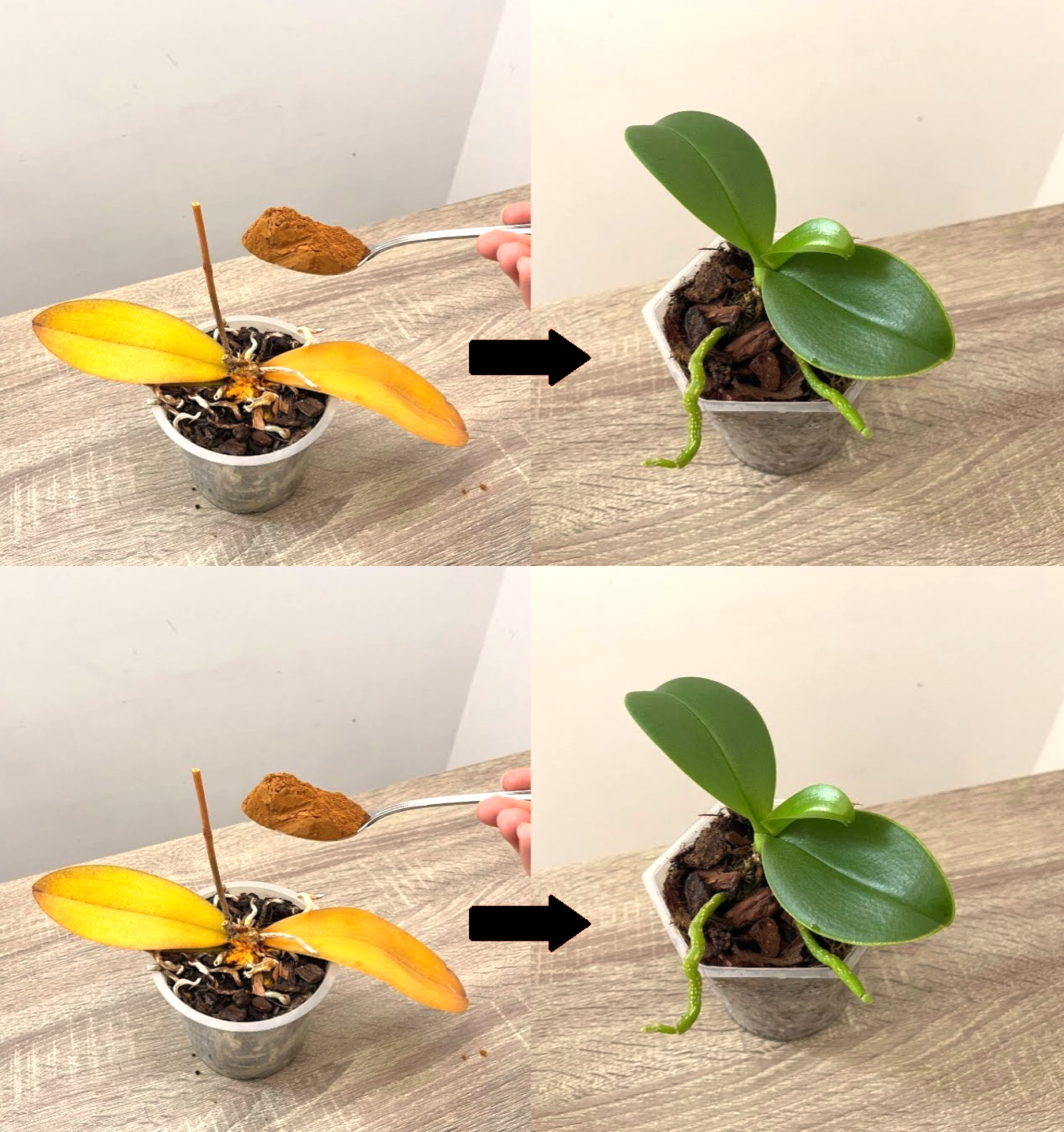 Üzerine 1 Yemek Kaşığı Serpin