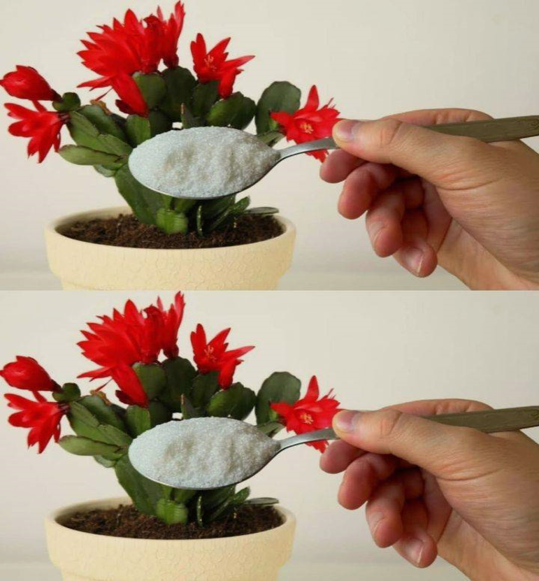 Bu K-arışım Çiçekleri Coşturuyor