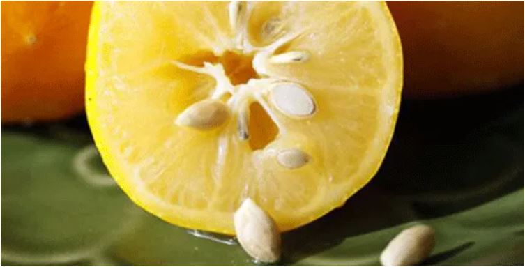 Limonun Çekirdeklerini Sakın Atmayın