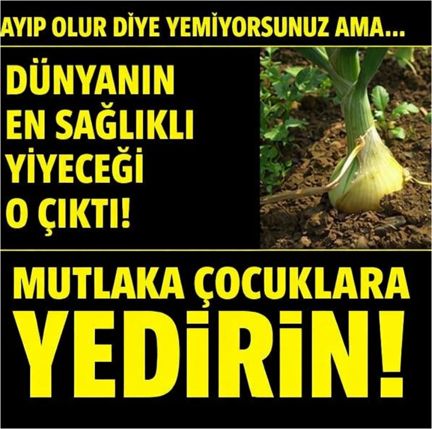 Bu Sebzenin Bu Kadar Faydalı Olduğunu İlkez Duydum