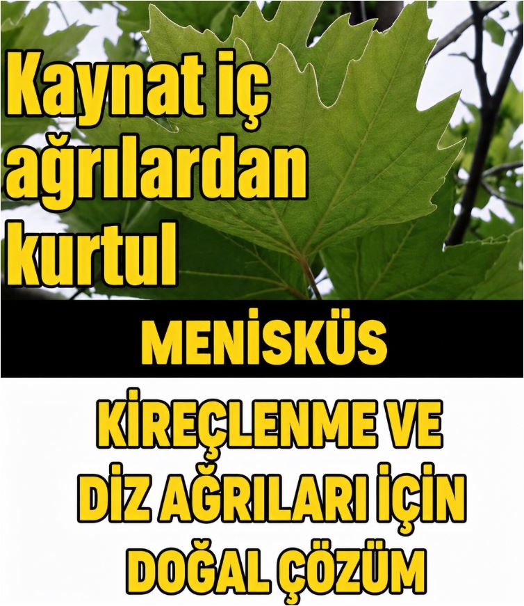 Diz Eklem Ağrıları İçin Etkili