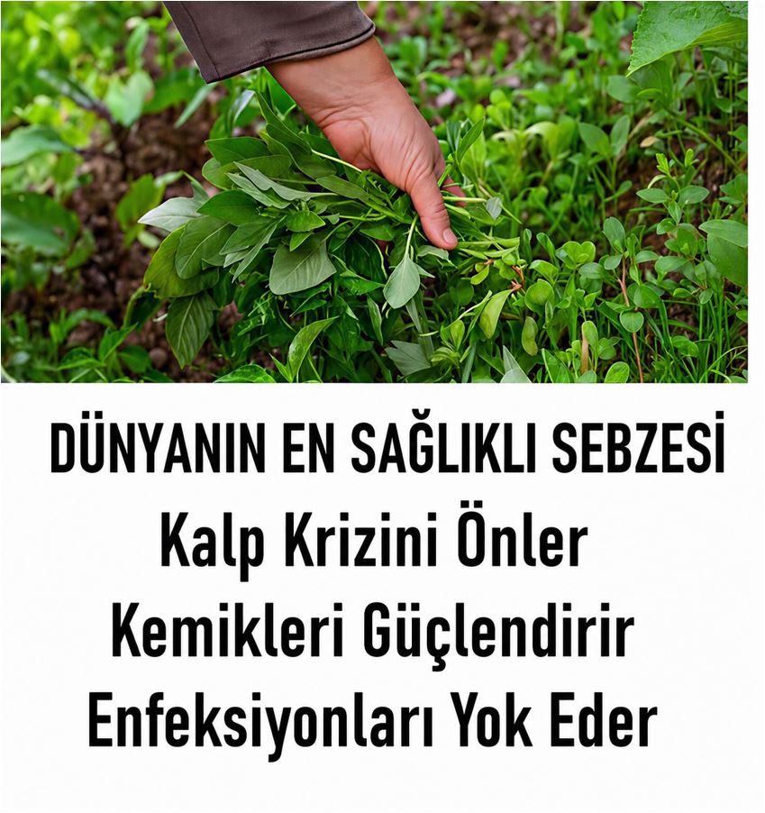 Dünyanın En Faydalı Sebzesi Seçildi