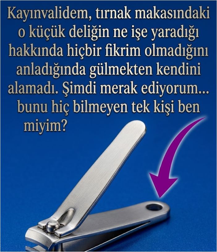 Meğer Bunun İçinmiş