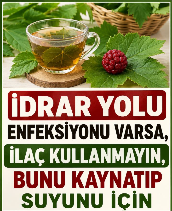 İdrar Yolu Enfeksiyonuna Ev Yapımı Çözüm